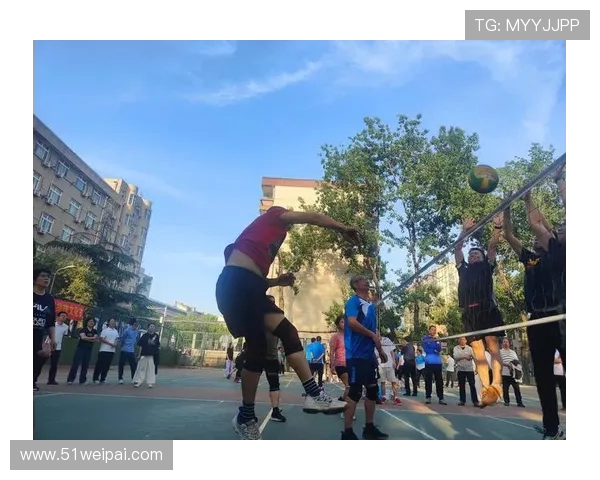 宫城排球健儿闪耀全球赛场